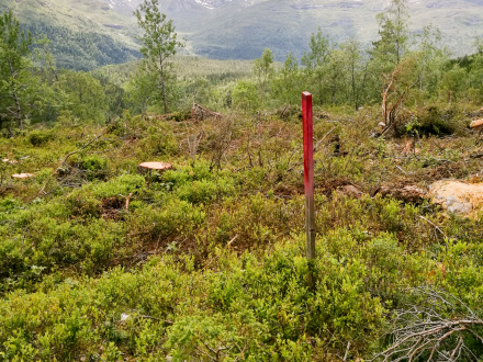 Groadalen tomt 33